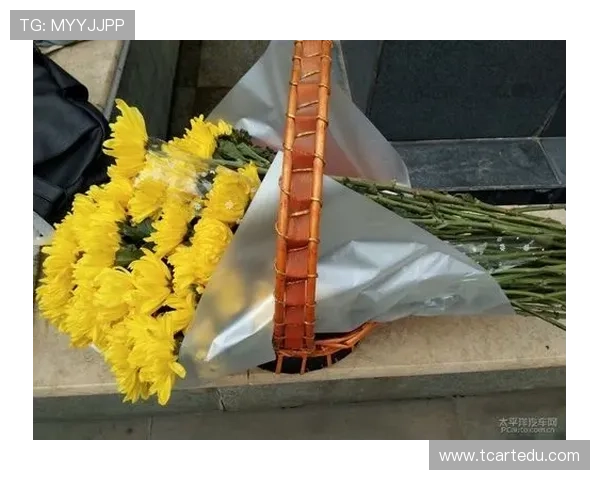 上海羽毛球队逆袭之旅揭秘世界杯背后的奋斗与荣耀 上海羽毛球队逆袭之旅揭秘世界杯背后的奋斗与荣耀