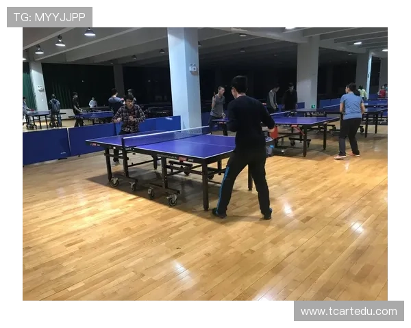 乒乓球的魅力与精神：深入了解武汉乒乓球队的训练与文化