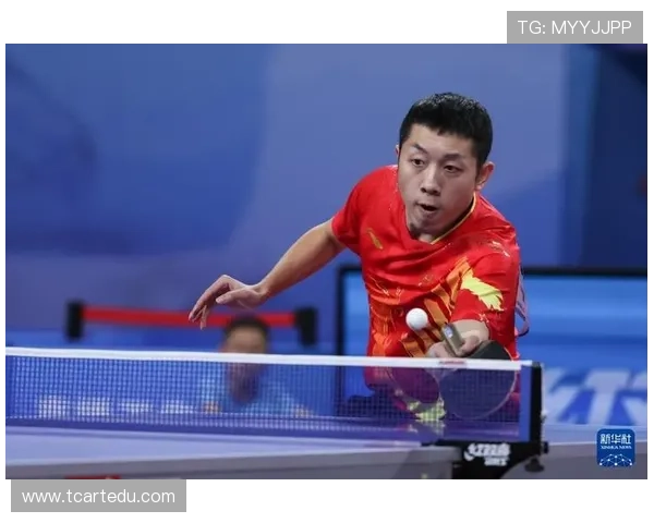 乒乓球团队协作实力榜单揭晓上海乒乓球队荣获第五名佳绩