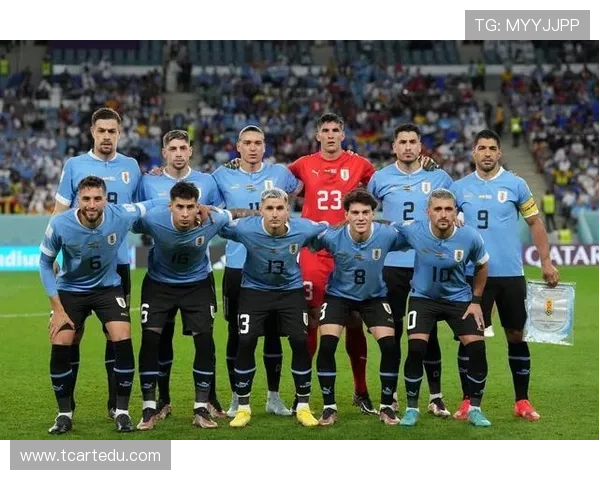 乌兰圭足球明星阵容揭秘及其辉煌成就回顾