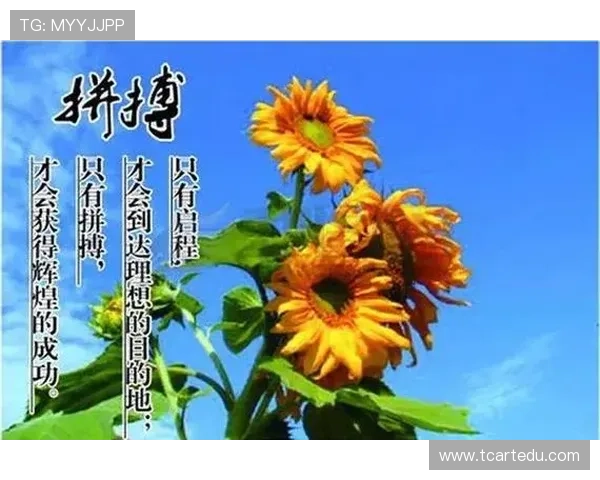 传递正能量的足球明星们如何用行动激励年轻一代追逐梦想