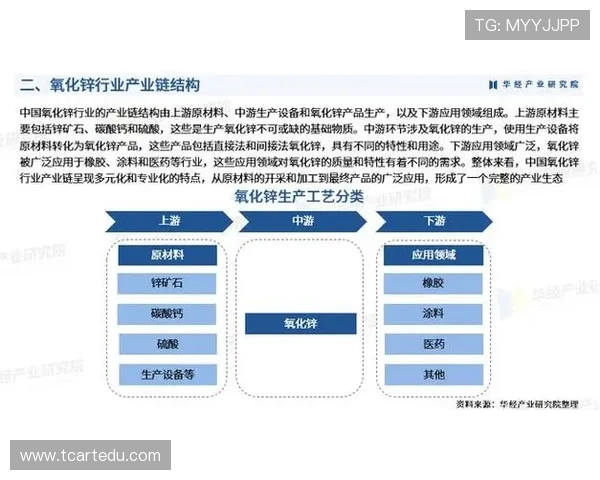 武汉乒乓球队杯赛战术分析与表现评估全景解读