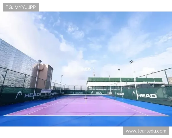 广州网球队的实力分析与数据解读揭示其竞技表现的深层次因素