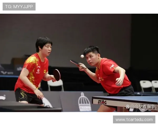 乒乓球新手必看：轻松掌握节奏与技巧的全面入门指南